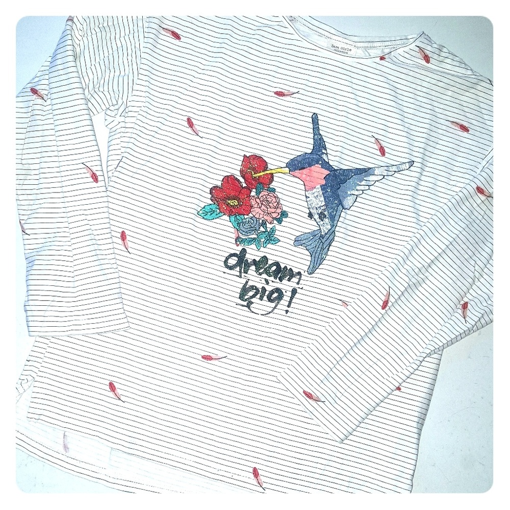 Zara Girls long sleeve T.